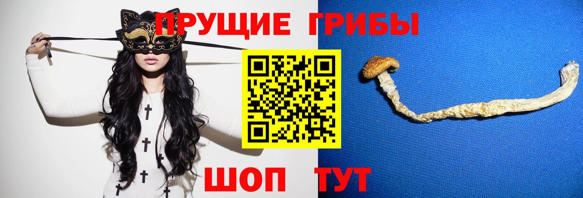 Псилоцибиновые грибы мухоморы  Вход с VPN  Кингисепп 