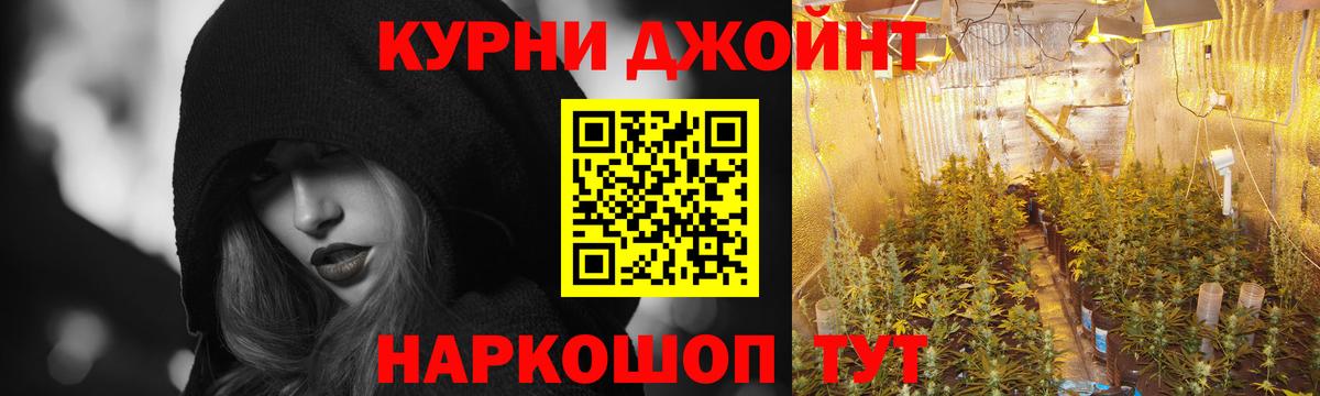 Кингисепп  Конопля LSD WEED  Канабис LSD WEED  Вход с VPN 